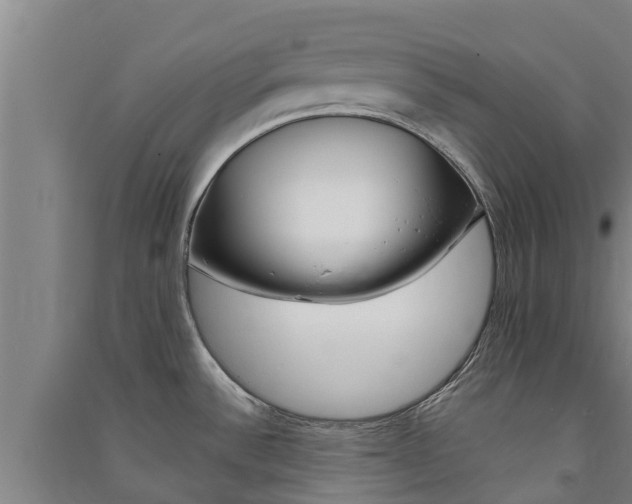 X0000091581532200708201002