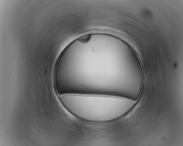 X0000091581533200708201002