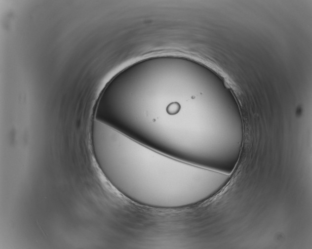 X0000091581534200708201002