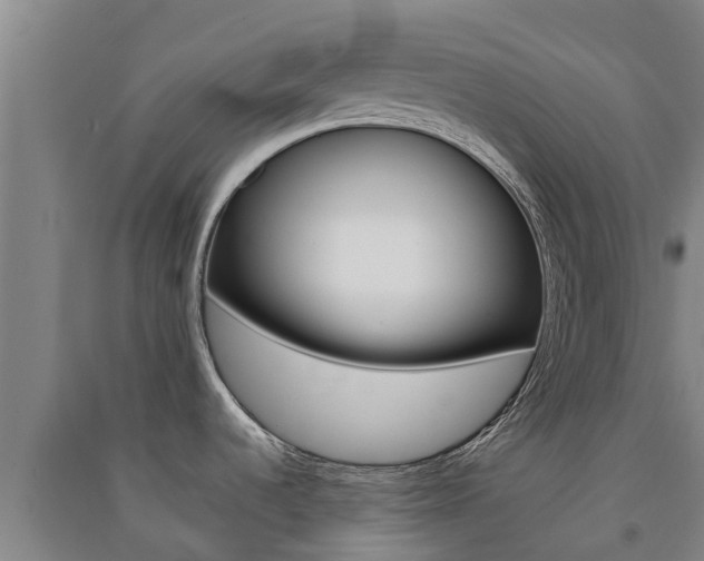 X0000091581536200708201002