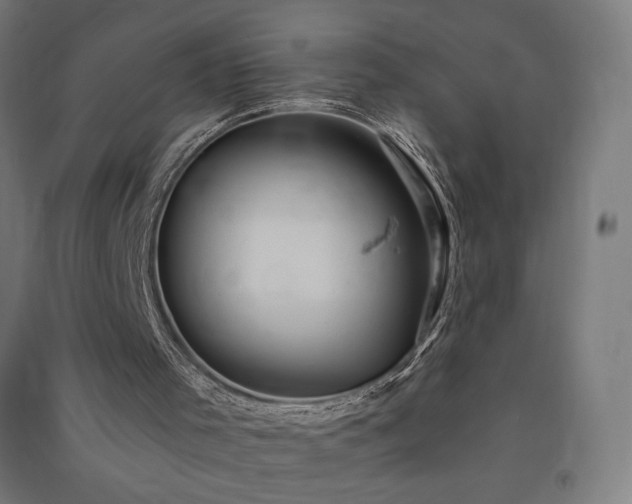 X0000091580001200708201218