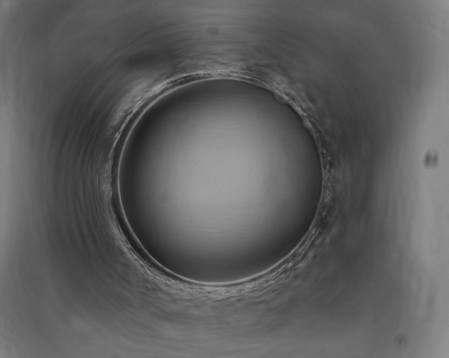 X0000091580002200708201218