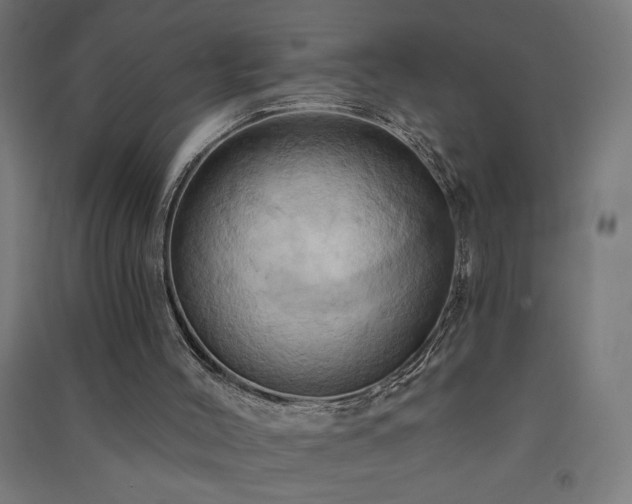 X0000091580004200708201218