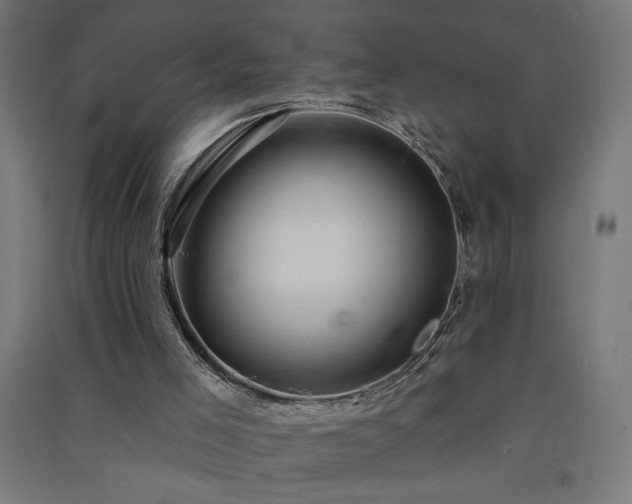 X0000091580005200708201218