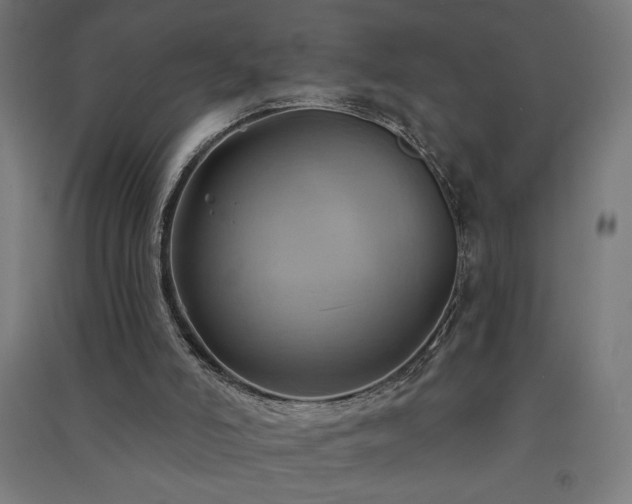 X0000091580006200708201218