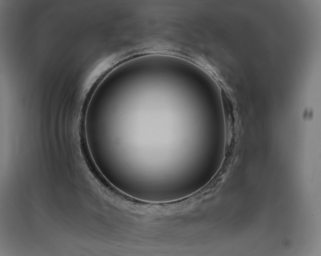 X0000091580007200708201218