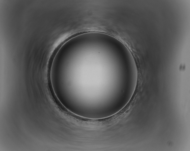 X0000091580008200708201218