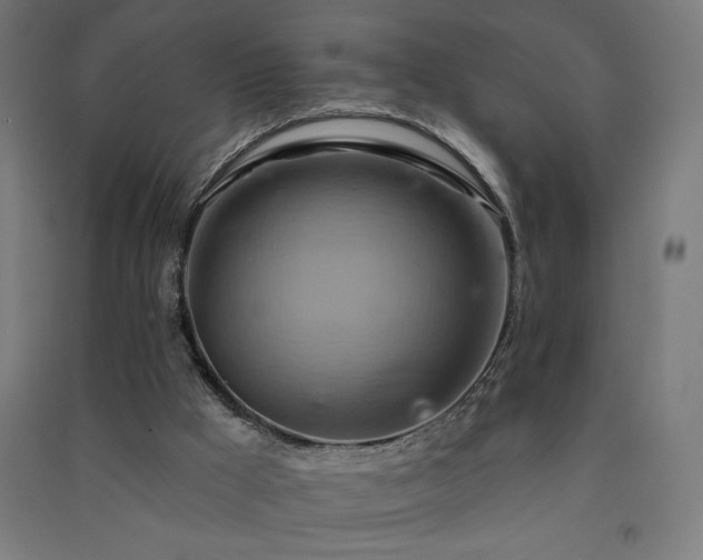 X0000091580009200708201218