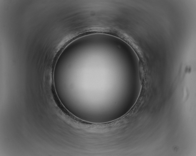 X0000091580011200708201218