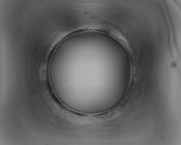 X0000091580012200708201218