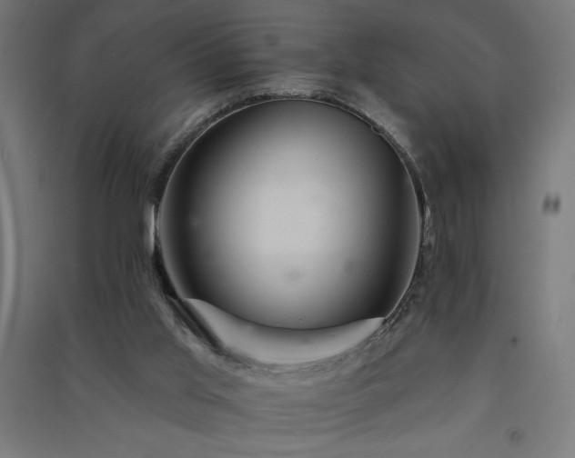 X0000091580013200708201218