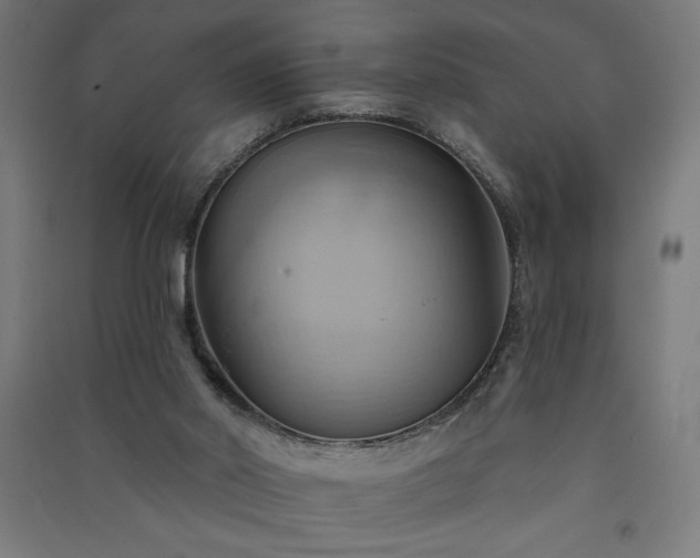 X0000091580014200708201218