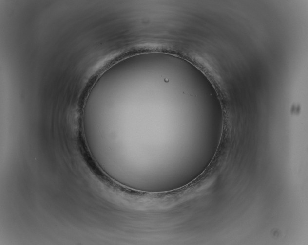 X0000091580016200708201218