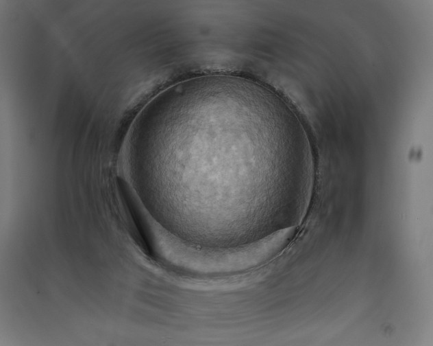 X0000091580017200708201218