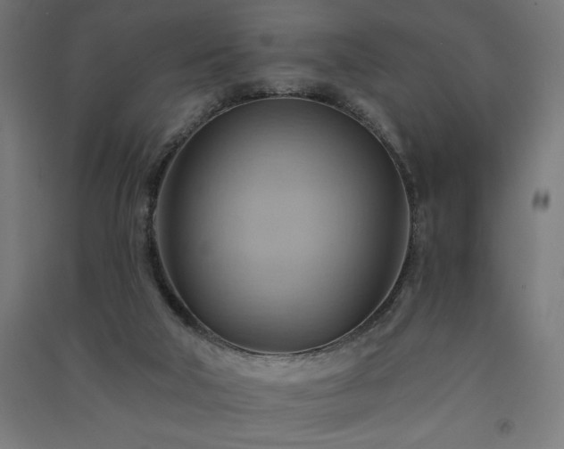 X0000091580018200708201218