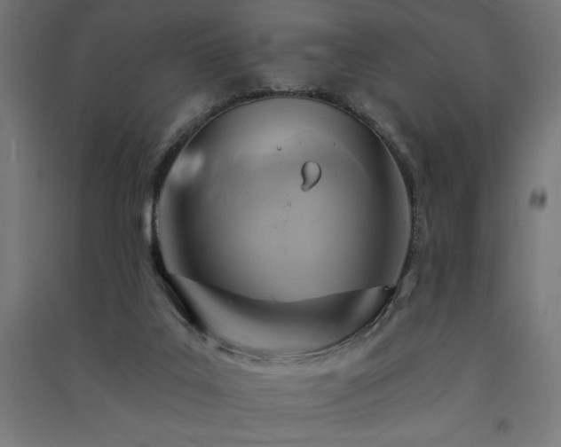 X0000091580019200708201218