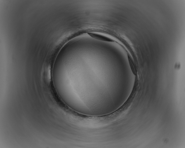 X0000091580020200708201218