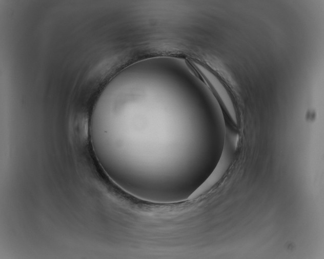X0000091580021200708201218
