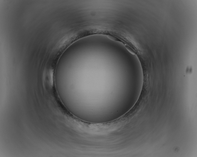 X0000091580022200708201218