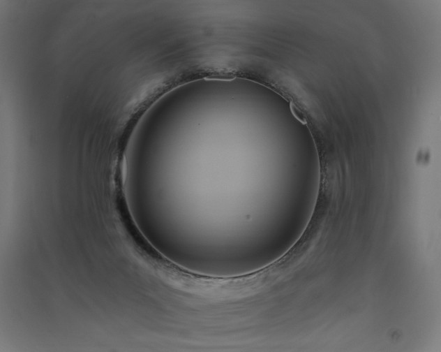 X0000091580023200708201218