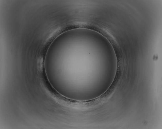 X0000091580024200708201218