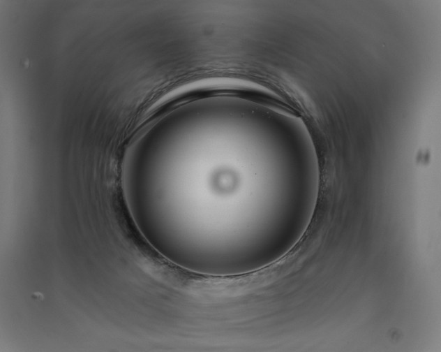 X0000091580025200708201218