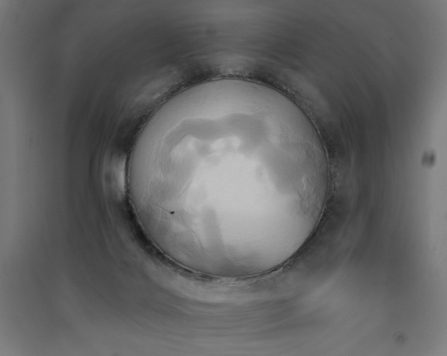 X0000091580028200708201218