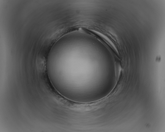 X0000091580029200708201218