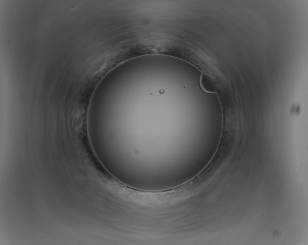 X0000091580030200708201217
