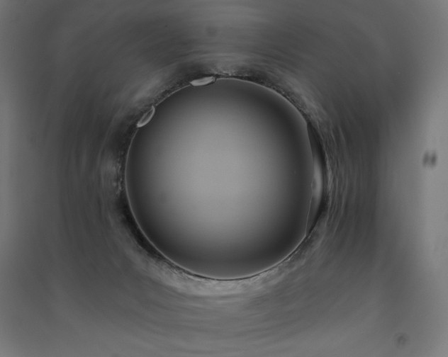 X0000091580031200708201217