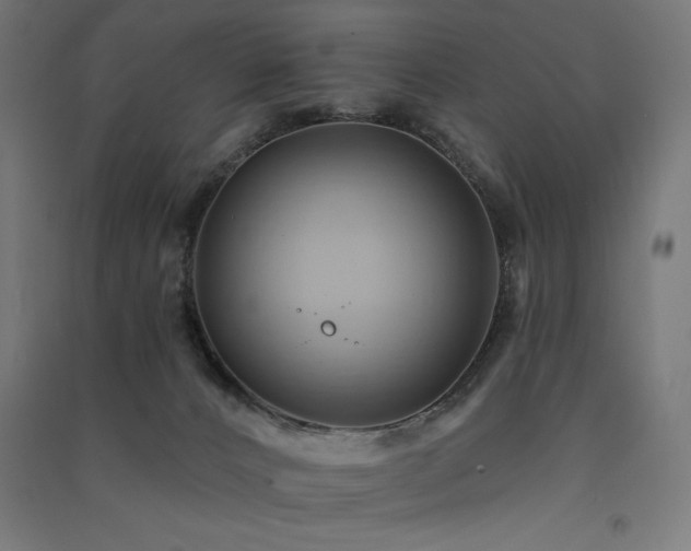 X0000091580032200708201217