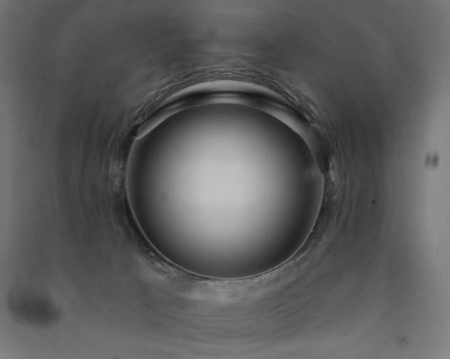 X0000091580033200708201217