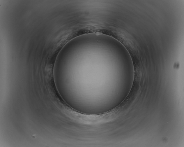 X0000091580034200708201217