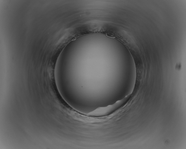 X0000091580035200708201217