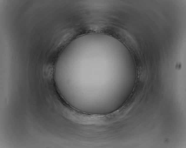 X0000091580036200708201217