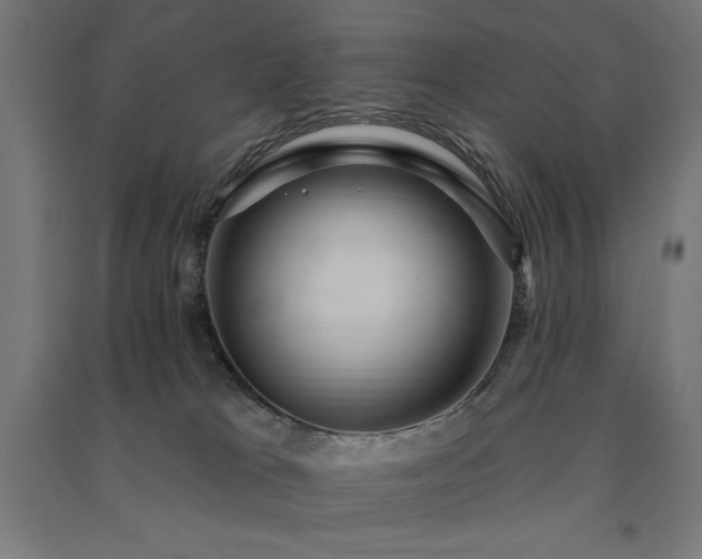 X0000091580037200708201217