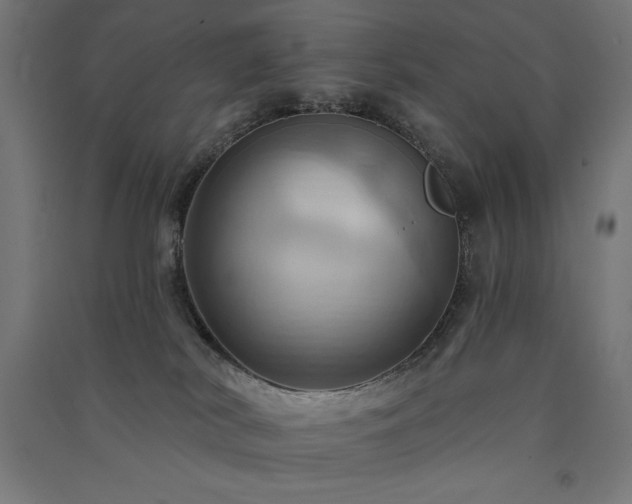 X0000091580038200708201217