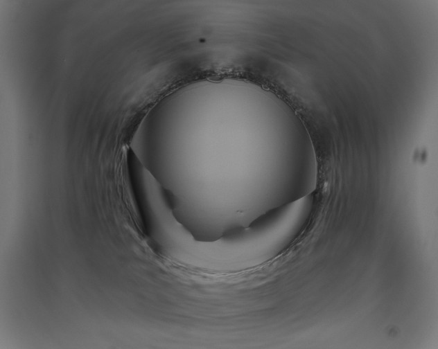 X0000091580039200708201217