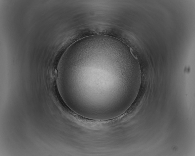 X0000091580040200708201217