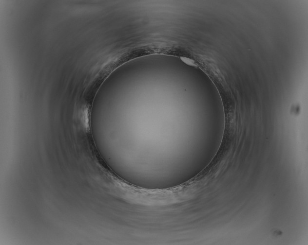 X0000091580042200708201217