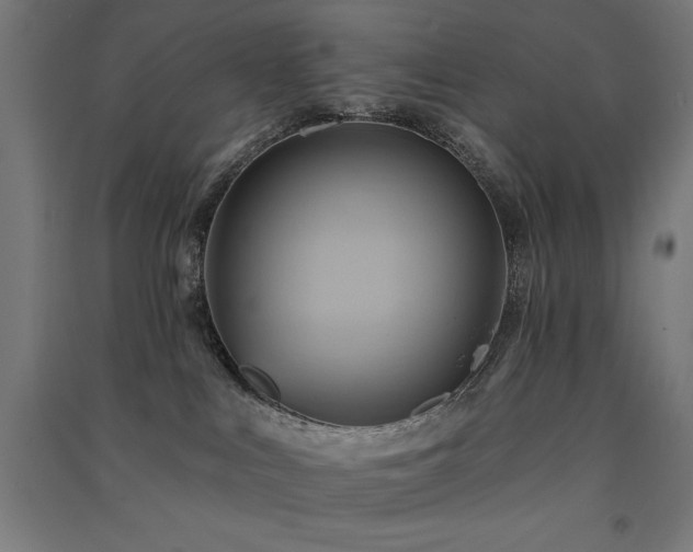 X0000091580043200708201217