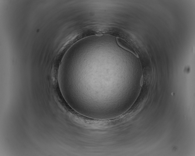 X0000091580044200708201217