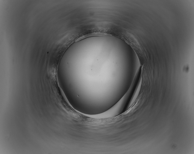 X0000091580045200708201217