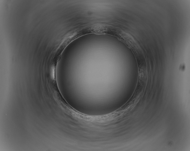 X0000091580046200708201217