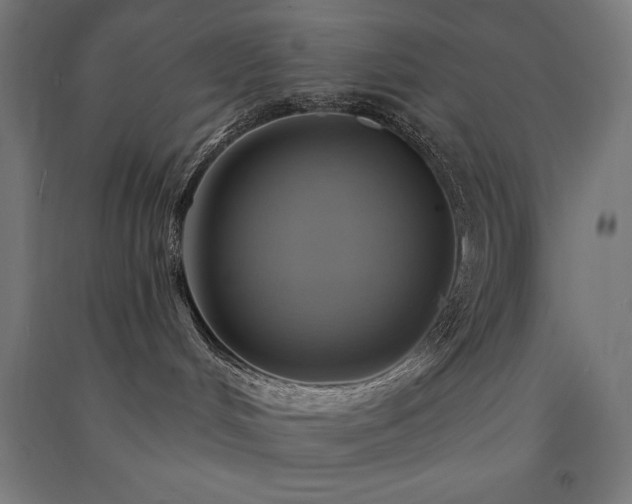 X0000091580048200708201217
