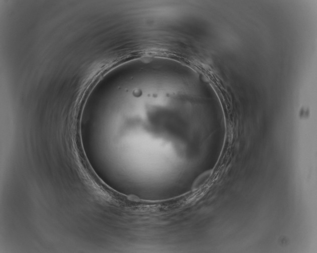 X0000091580049200708201217