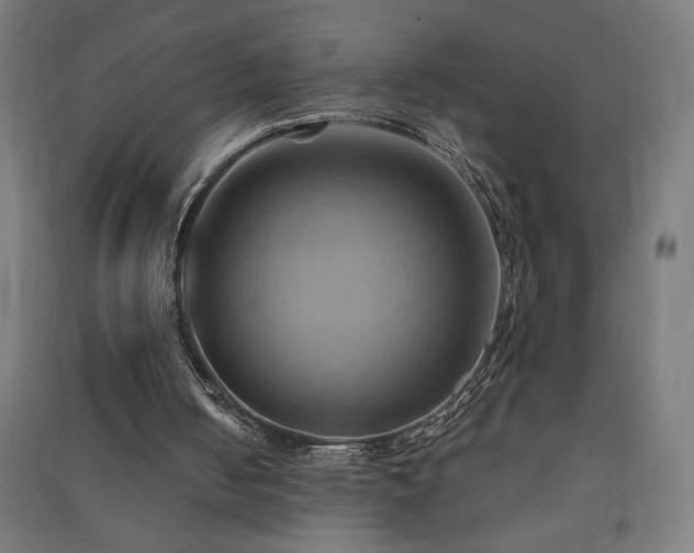 X0000091580050200708201217