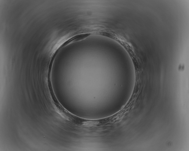 X0000091580051200708201217