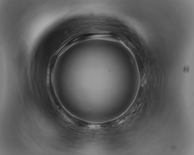 X0000091580052200708201217
