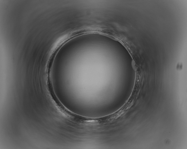 X0000091580053200708201217
